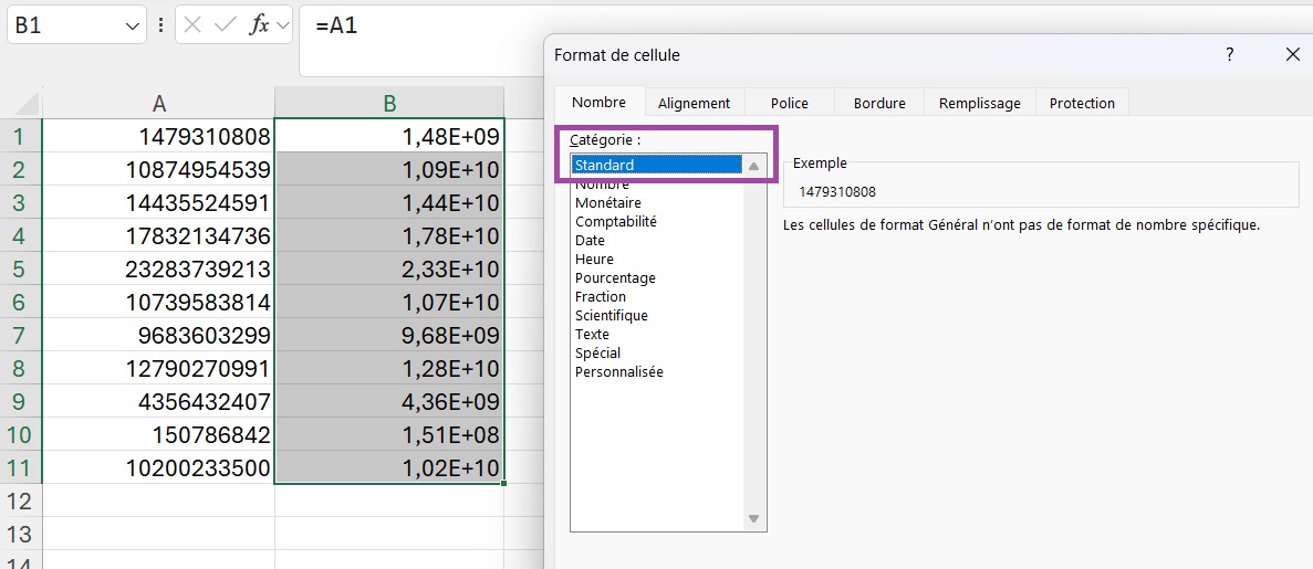 Fenêtre de dialogue Format de cellule sur Excel avec la catégorie Standard entourée