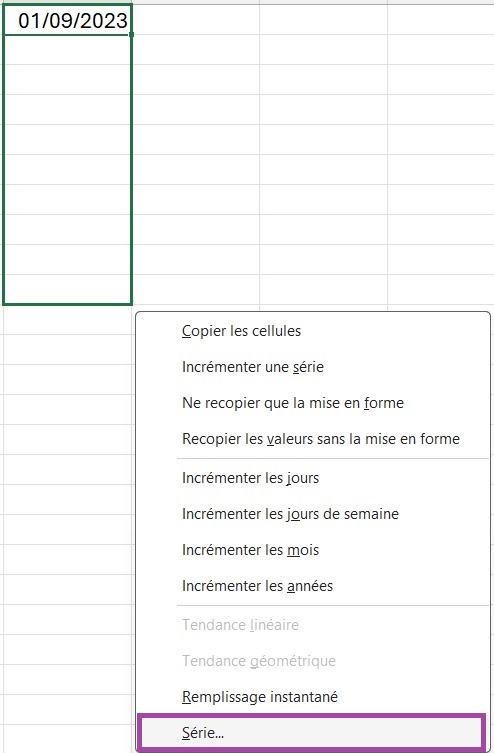 Menu contextuel sur Excel pour accéder aux options de Série