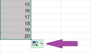 Colonne sur Excel avec une série de données.